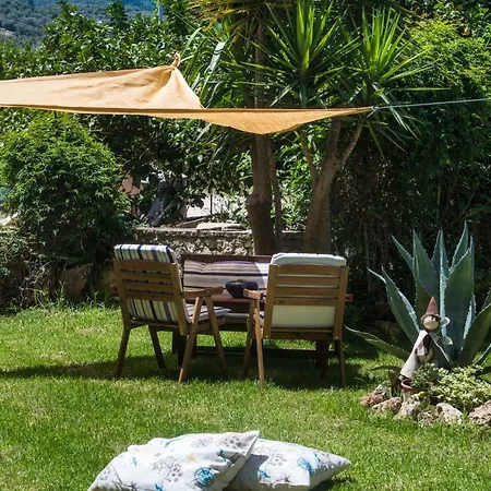 The Lemon Yard